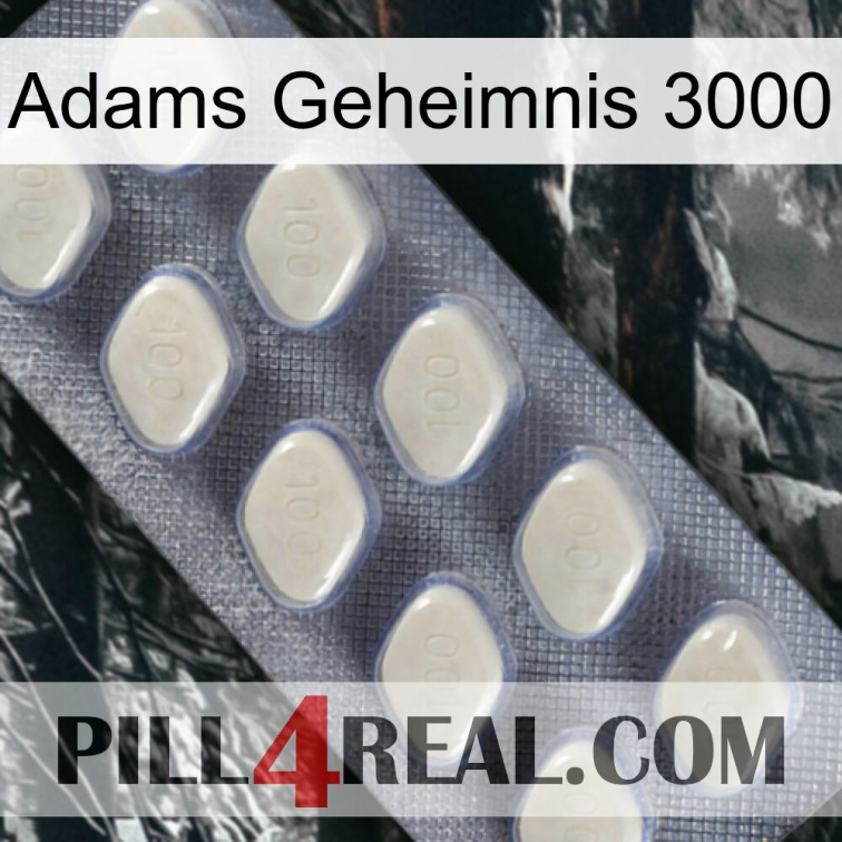 Adams Secret 3000 08
